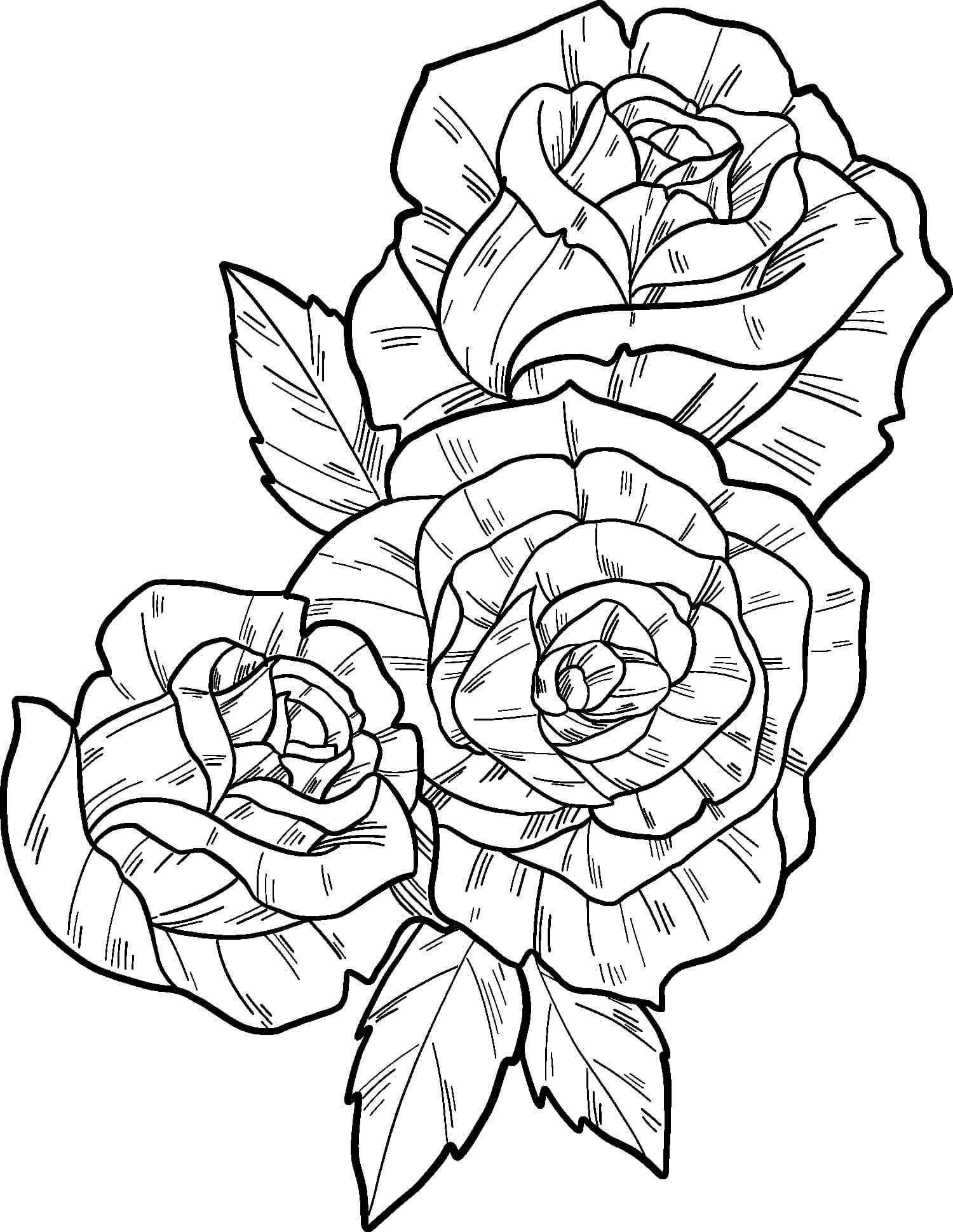 45 Roses Coloring Pages for Adult Free Printable 25