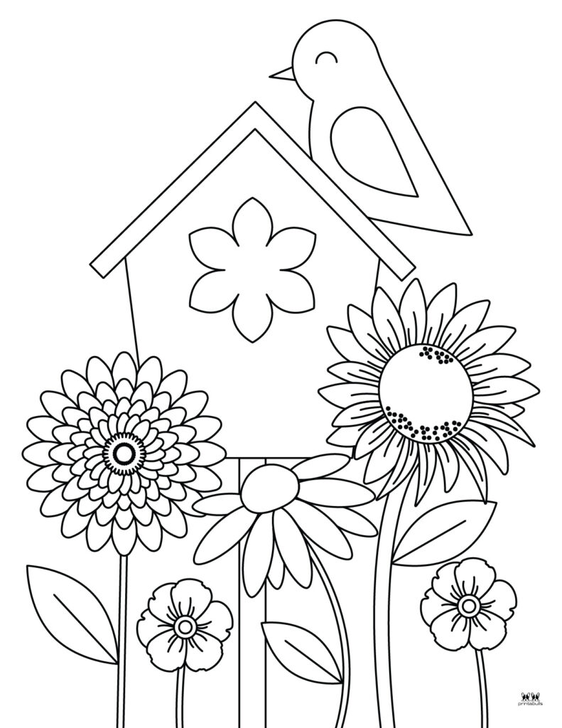 45 Roses Coloring Pages for Adult Free Printable 38