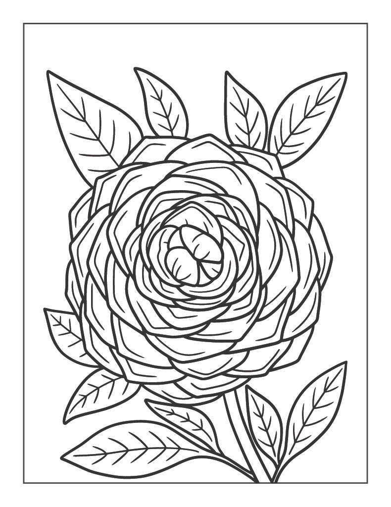 45 Roses Coloring Pages for Adult Free Printable 4