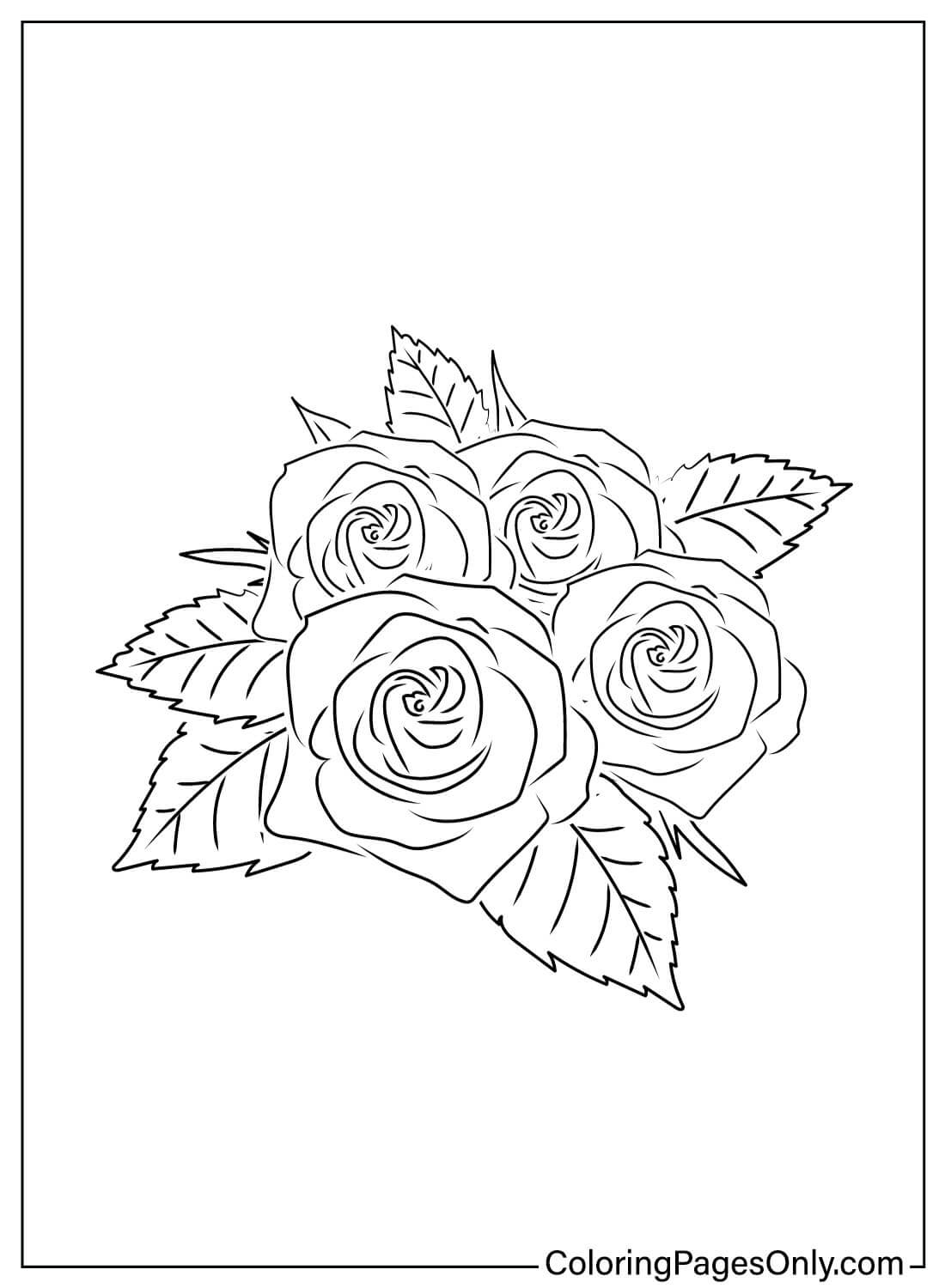 45 Roses Coloring Pages for Adult Free Printable 42