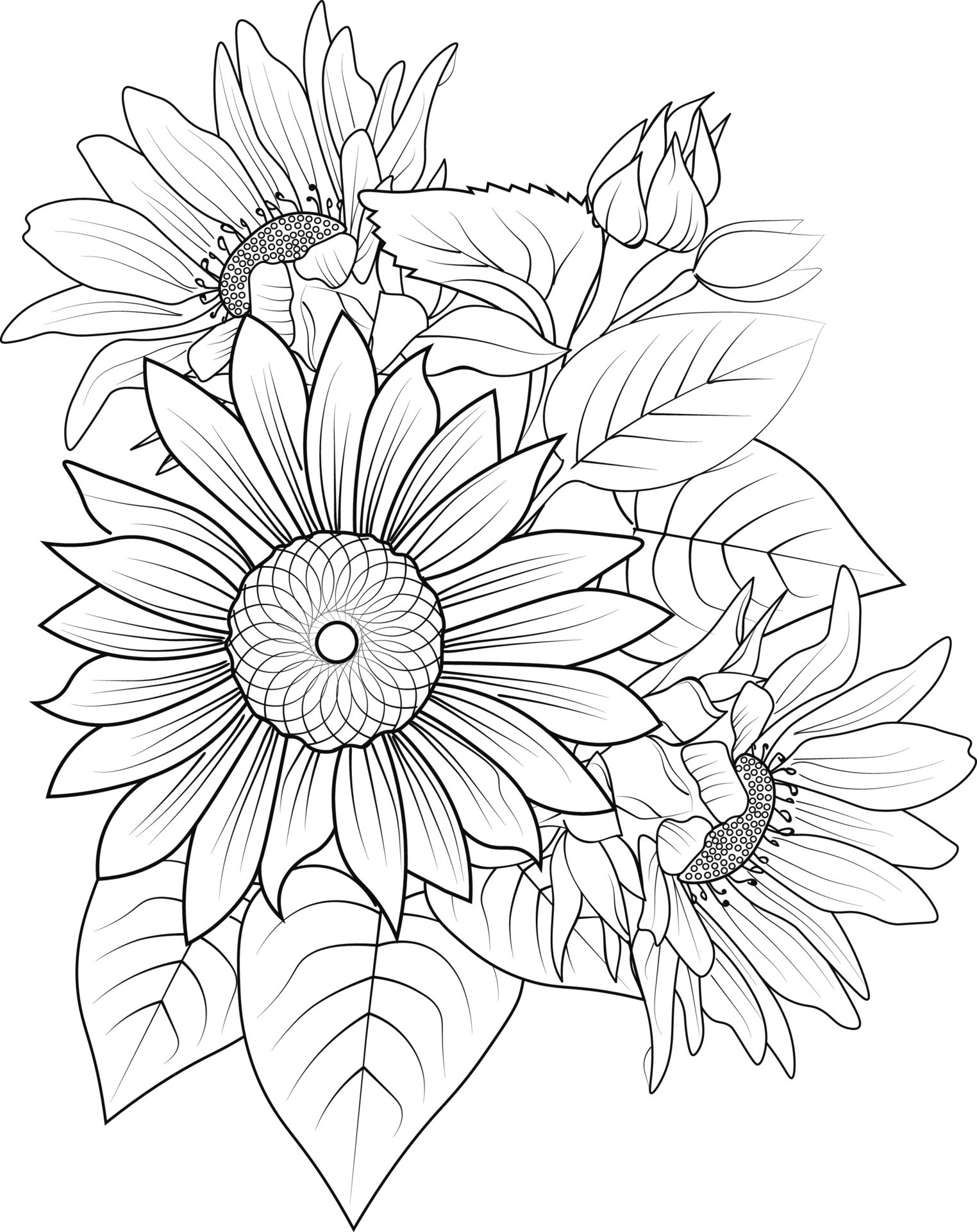 45 Roses Coloring Pages for Adult Free Printable 6