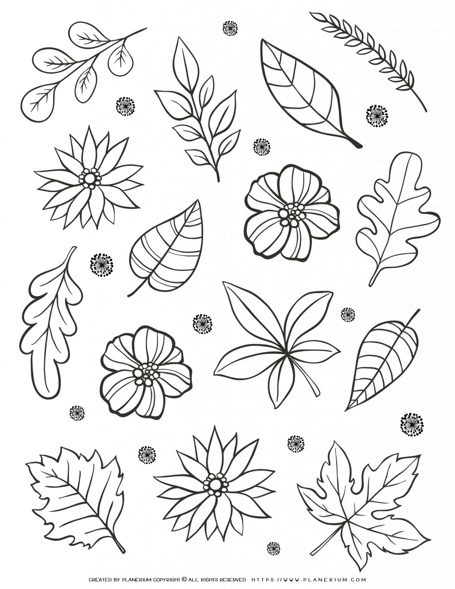 45 Roses Coloring Pages for Adult Free Printable 63