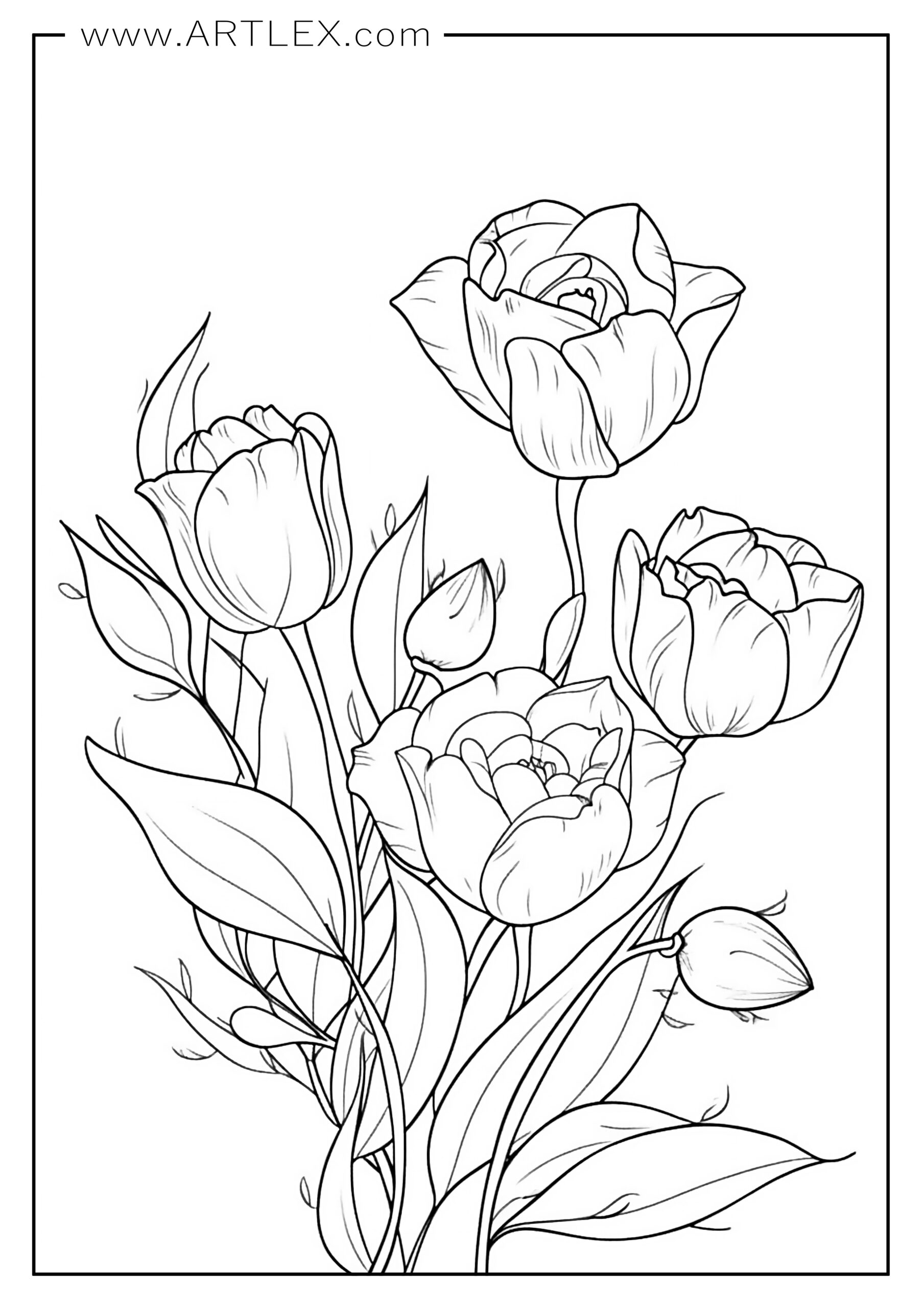 45 Roses Coloring Pages for Adult Free Printable 69