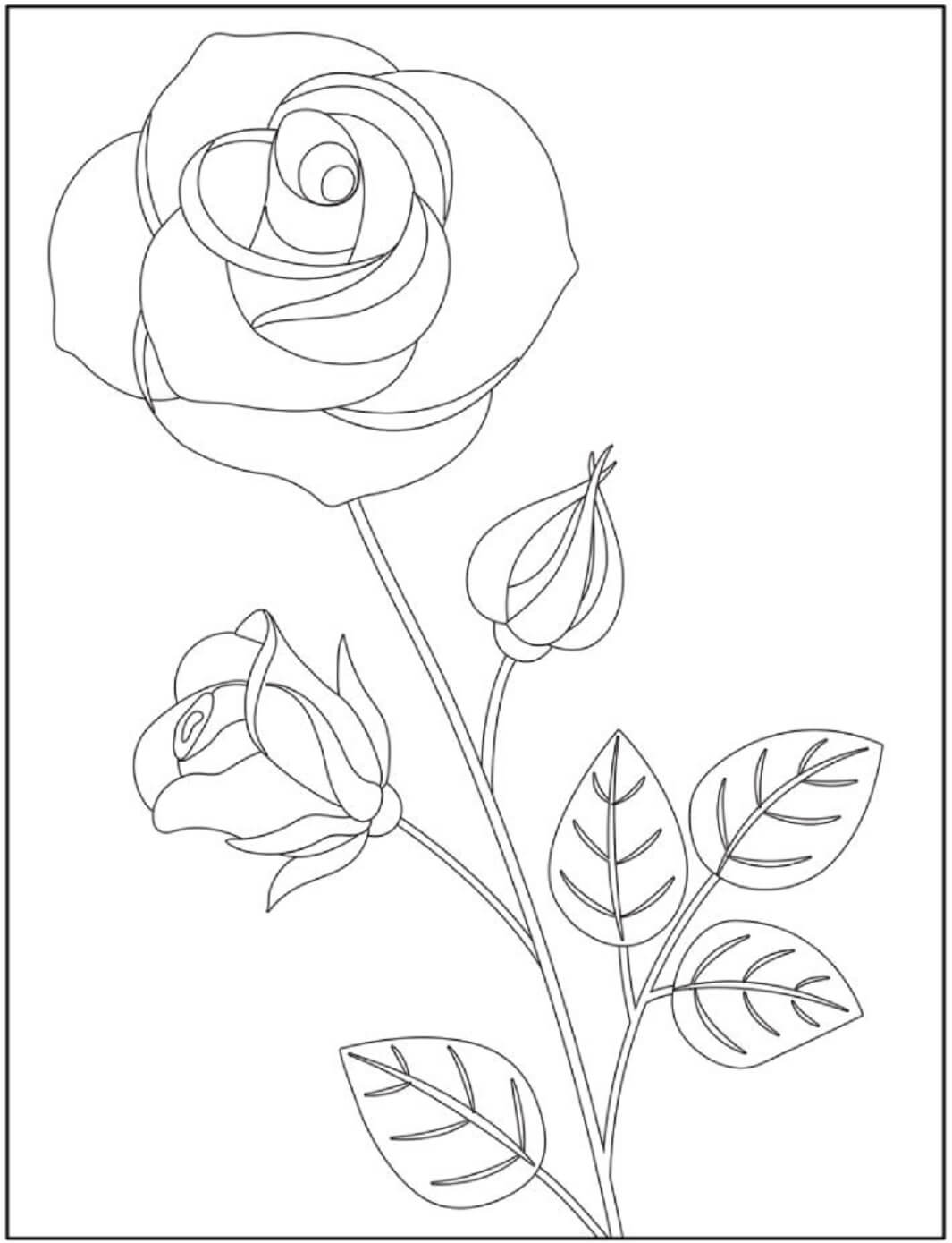 45 Roses Coloring Pages for Adult Free Printable 70