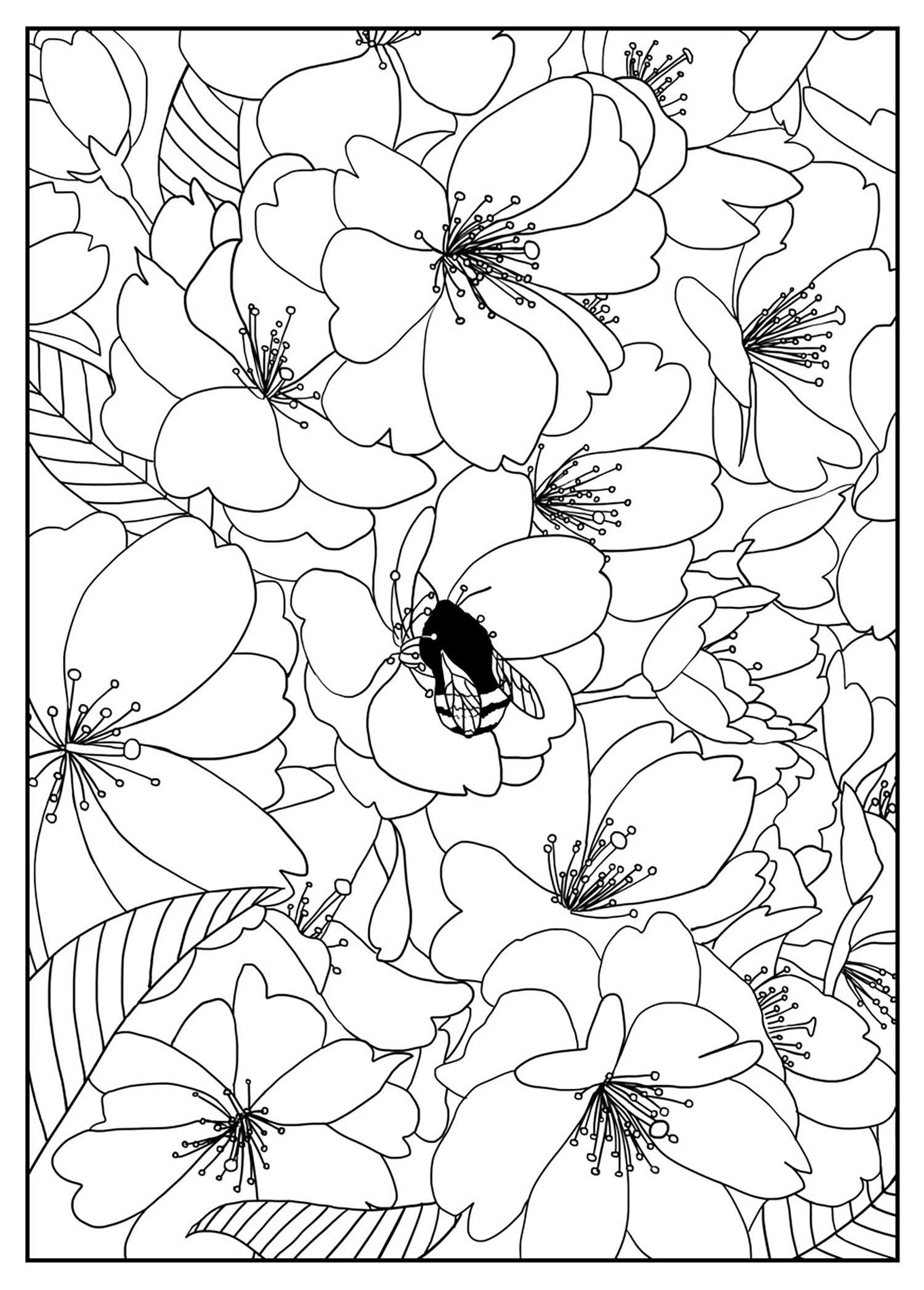 45 Roses Coloring Pages for Adult Free Printable 80