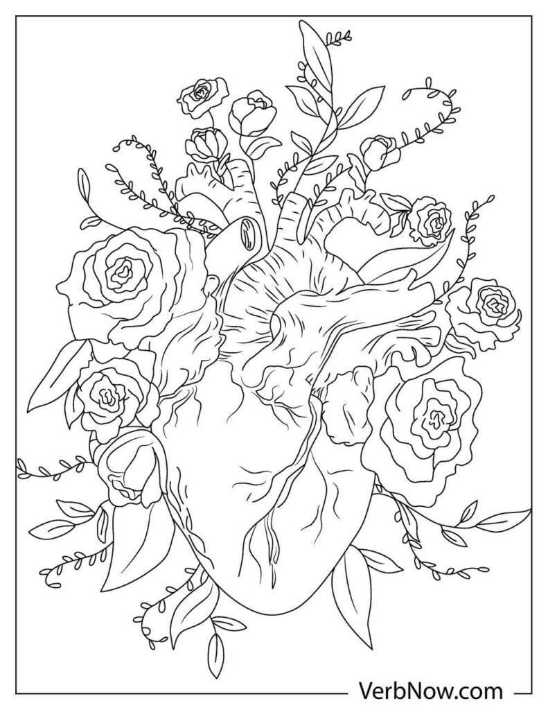 45 Roses Coloring Pages for Adult Free Printable 87