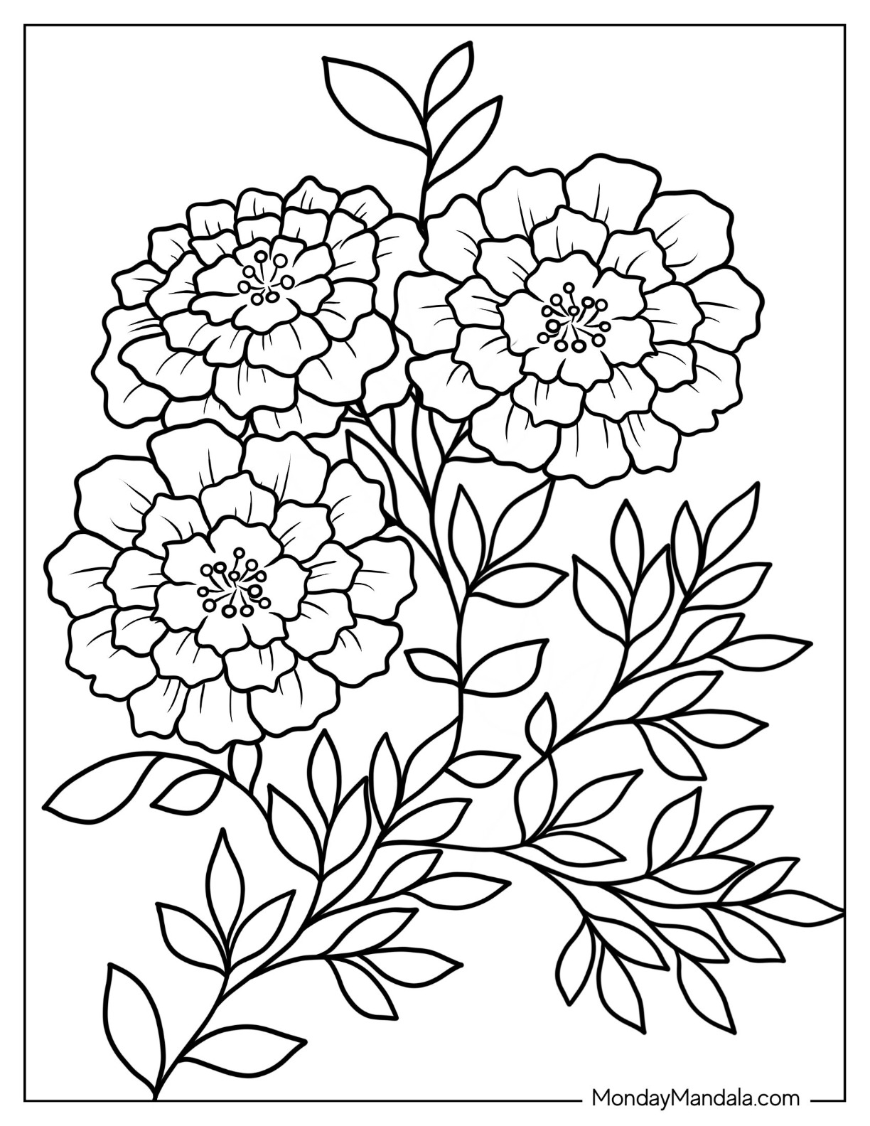 45 Roses Coloring Pages for Adult Free Printable 94