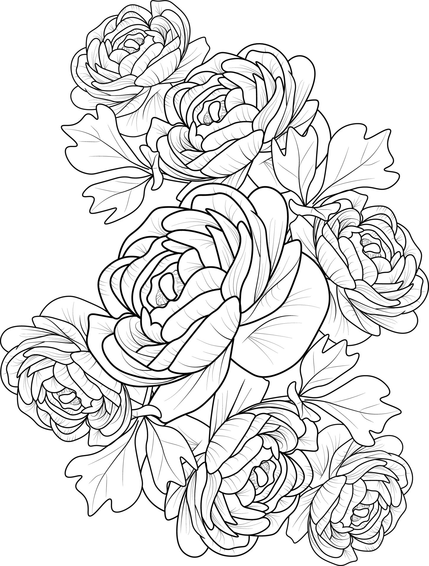 45 Roses Coloring Pages for Adult Free Printable 99