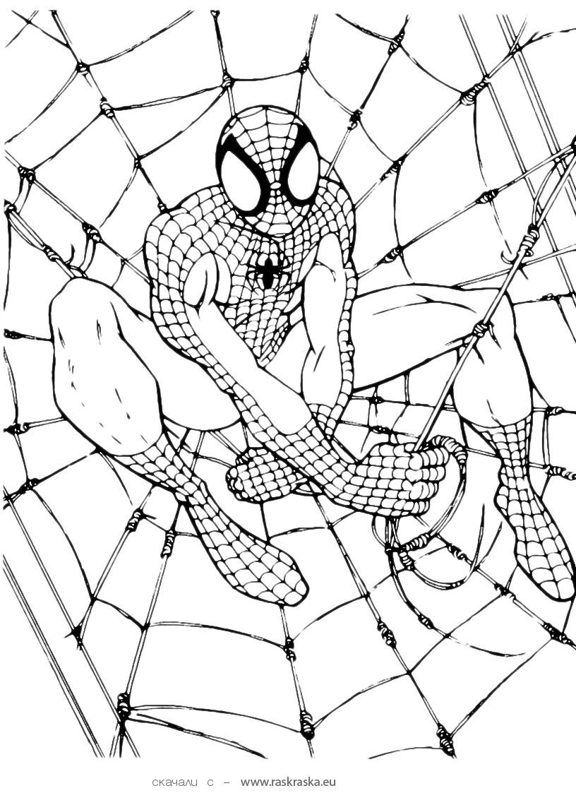 99+ Spider Man Halloween Coloring Pages 105