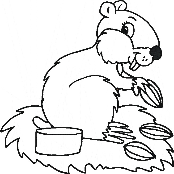 Cute Animals Coloring Pages Free Printable 46