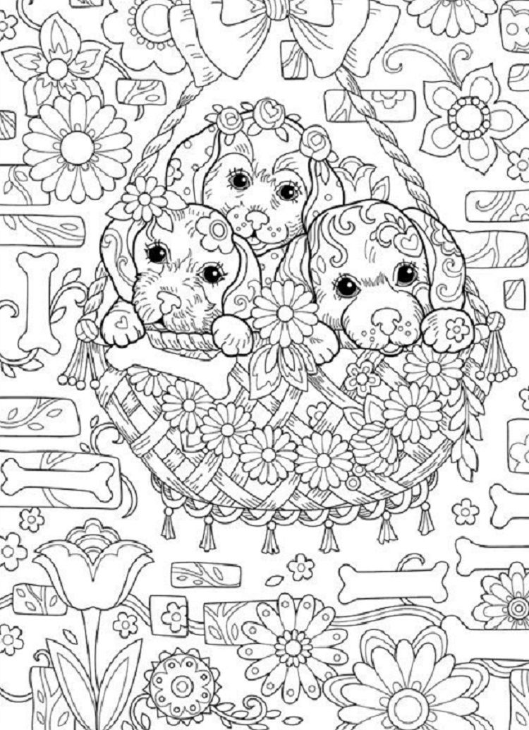 Cute Animals Coloring Pages Free Printable 65