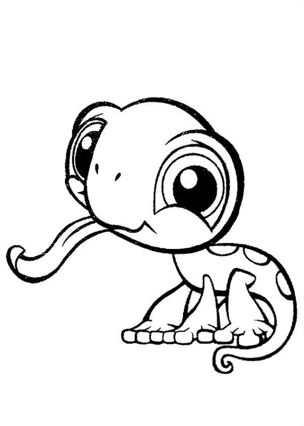 Cute Animals Coloring Pages Free Printable 81