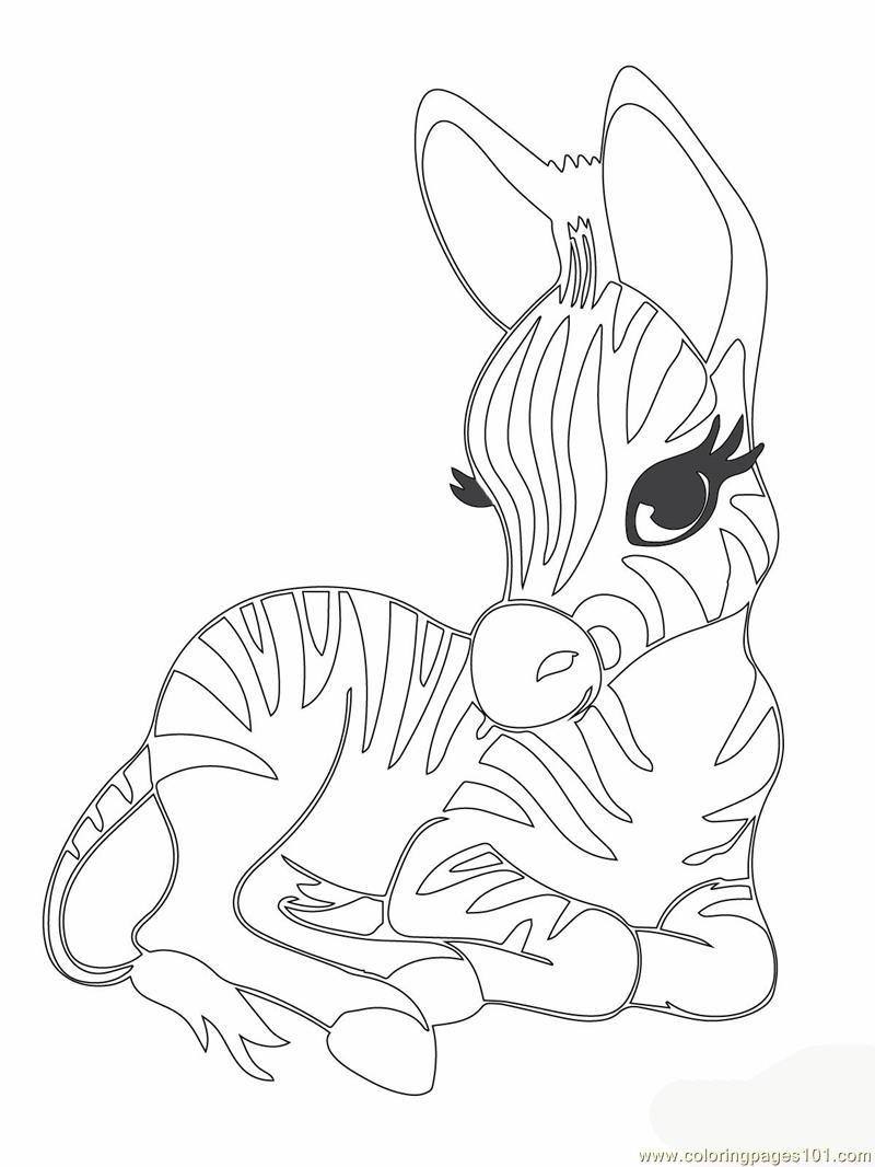 Cute Animals Coloring Pages Free Printable 86