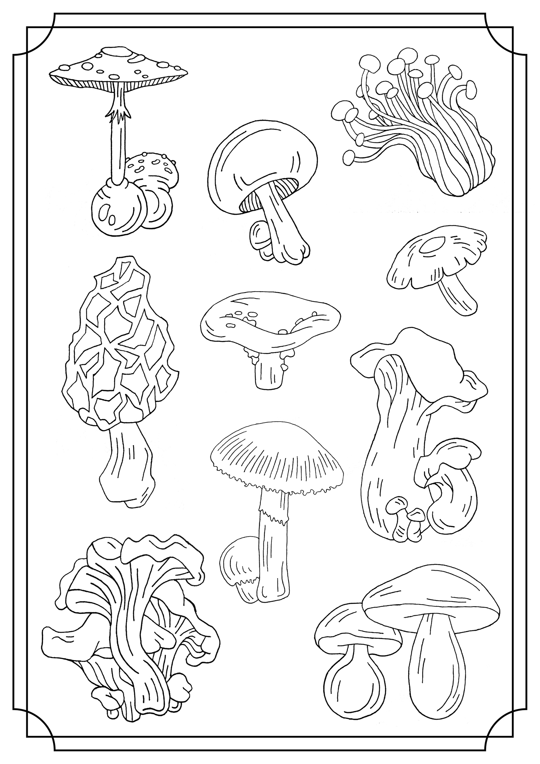 Mushroom Coloring Pages for Adults Printable 1