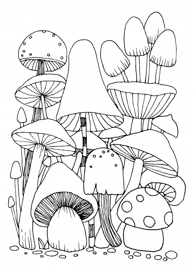 Mushroom Coloring Pages for Adults Printable 106