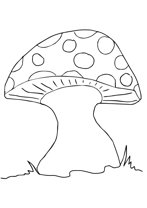 Mushroom Coloring Pages for Adults Printable 112