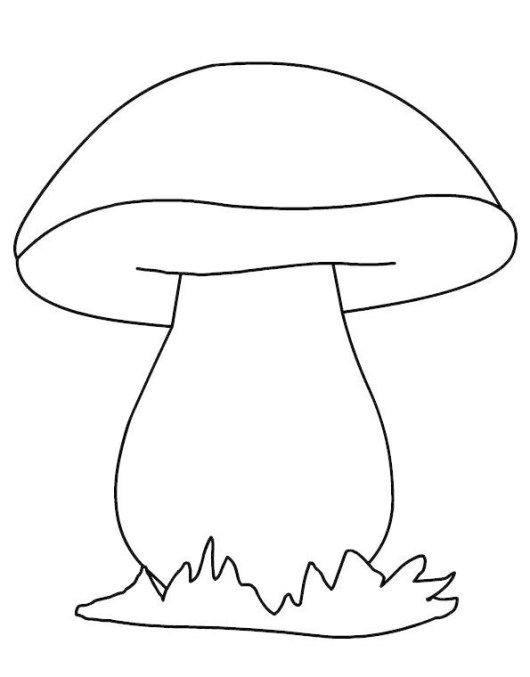 Mushroom Coloring Pages for Adults Printable 13