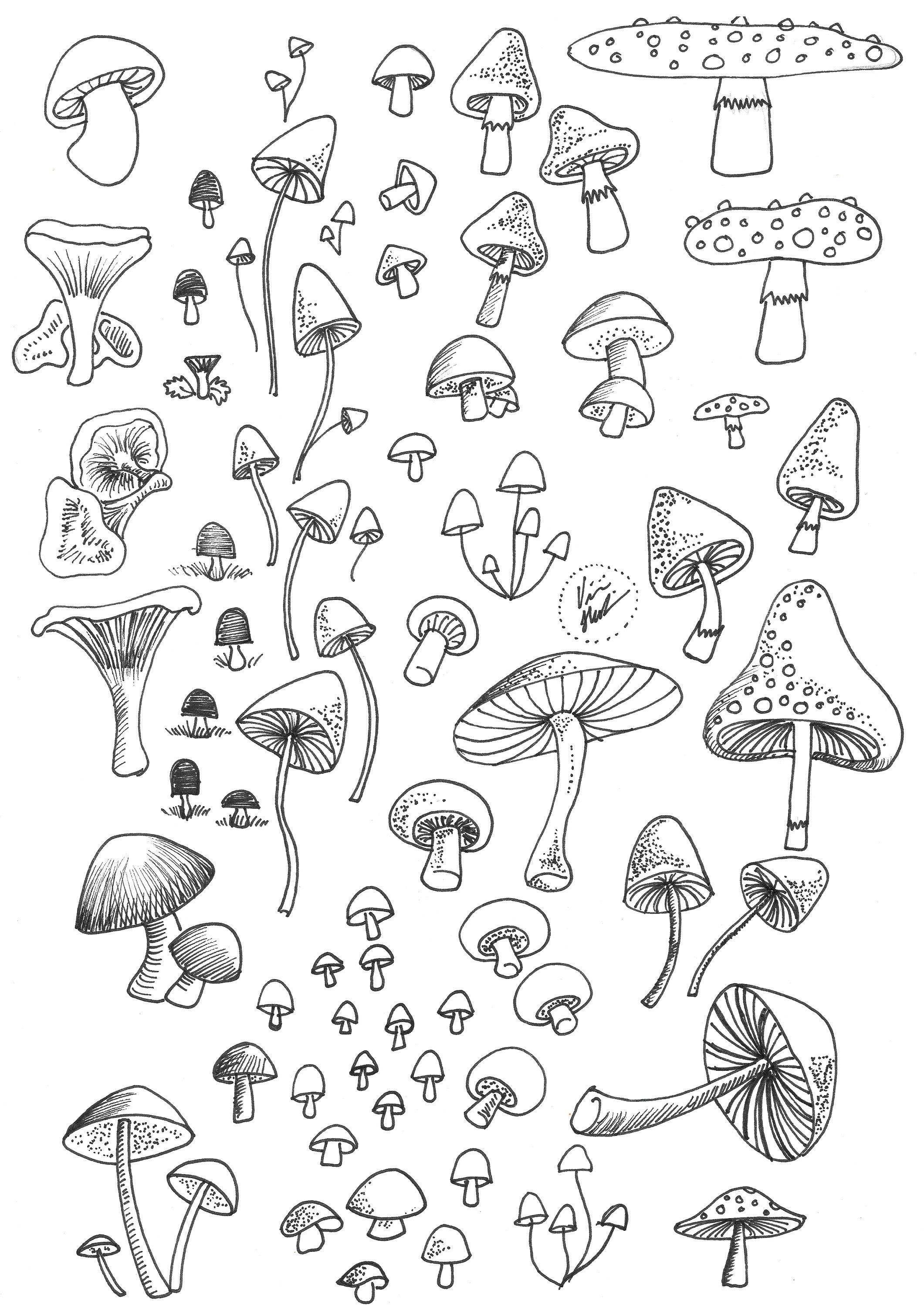 Mushroom Coloring Pages for Adults Printable 18