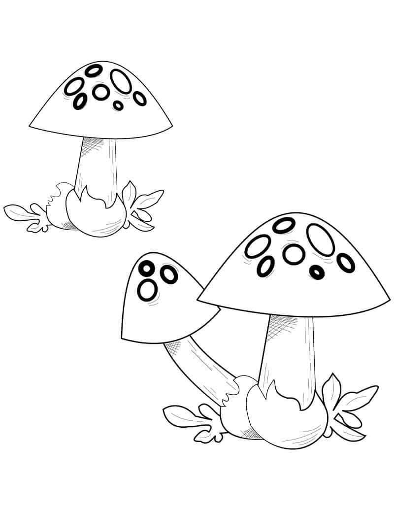 Mushroom Coloring Pages for Adults Printable 20