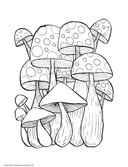 Mushroom Coloring Pages for Adults Printable 24