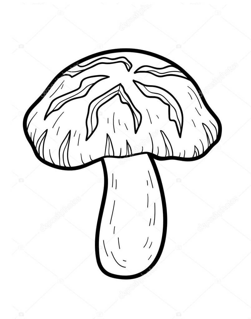 Mushroom Coloring Pages for Adults Printable 28