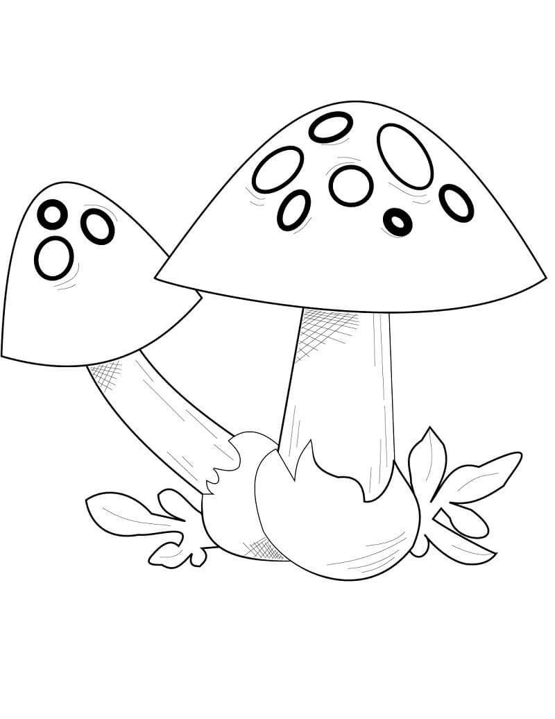 Mushroom Coloring Pages for Adults Printable 3