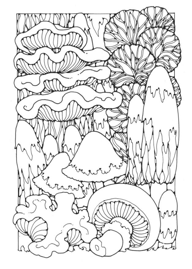 Mushroom Coloring Pages for Adults Printable 37