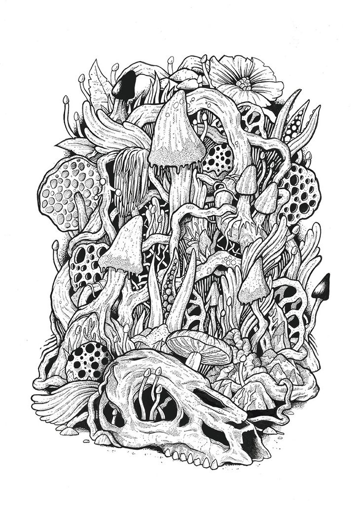 Mushroom Coloring Pages for Adults Printable 4