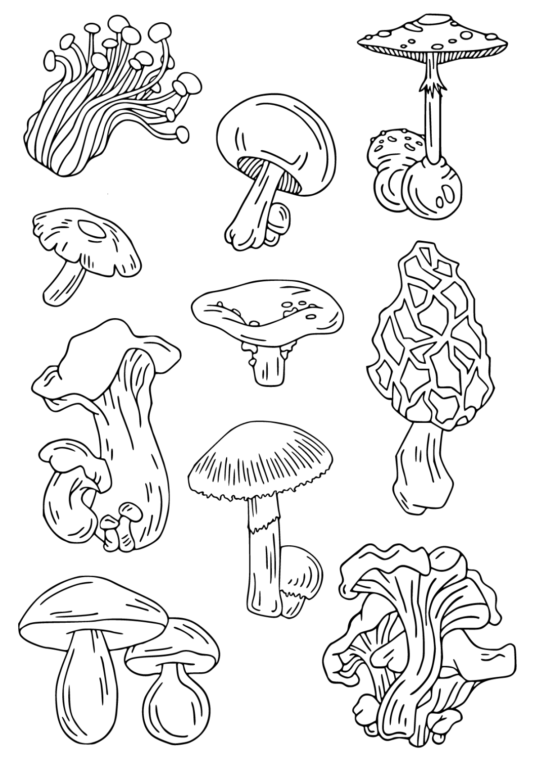 Mushroom Coloring Pages for Adults Printable 40