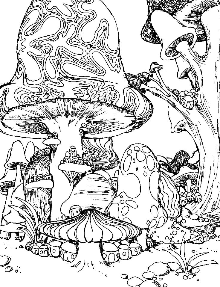 Mushroom Coloring Pages for Adults Printable 46