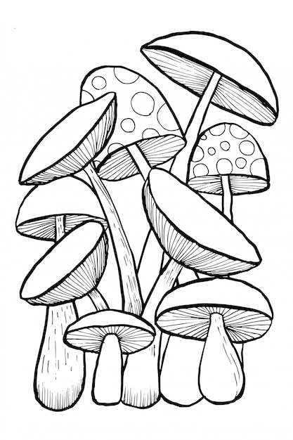 Mushroom Coloring Pages for Adults Printable 47