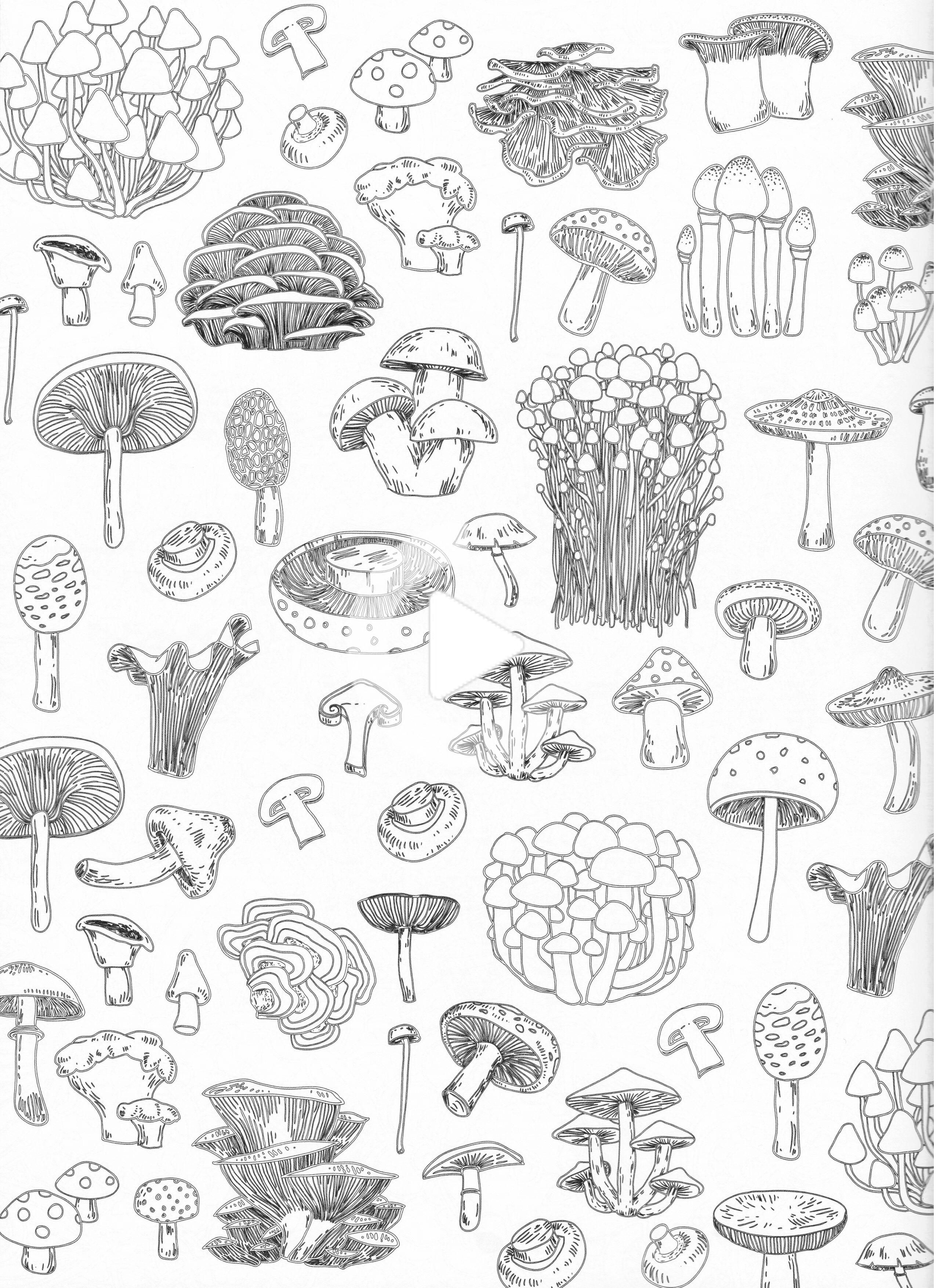 Mushroom Coloring Pages for Adults Printable 49