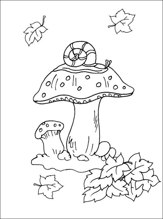 Mushroom Coloring Pages for Adults Printable 50