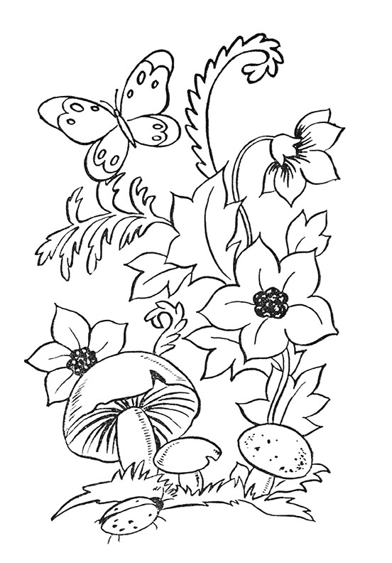 Mushroom Coloring Pages for Adults Printable 80