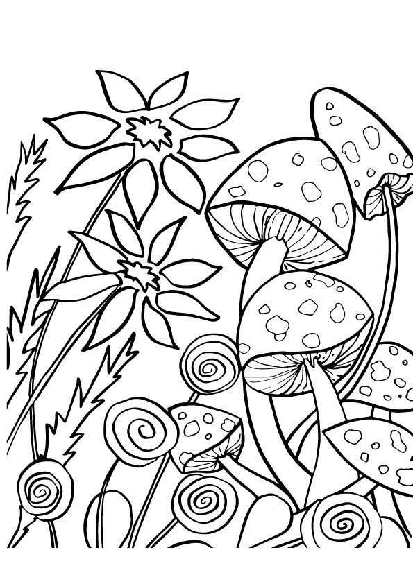 Mushroom Coloring Pages for Adults Printable 83