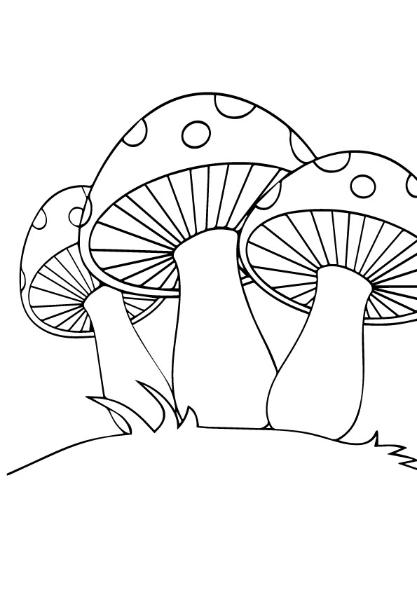 Mushroom Coloring Pages for Adults Printable 87