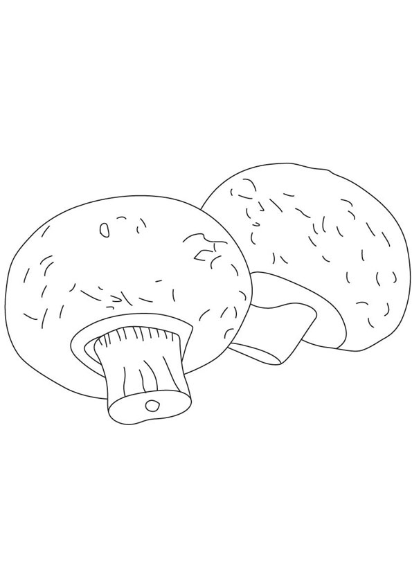 Mushroom Coloring Pages for Adults Printable 91