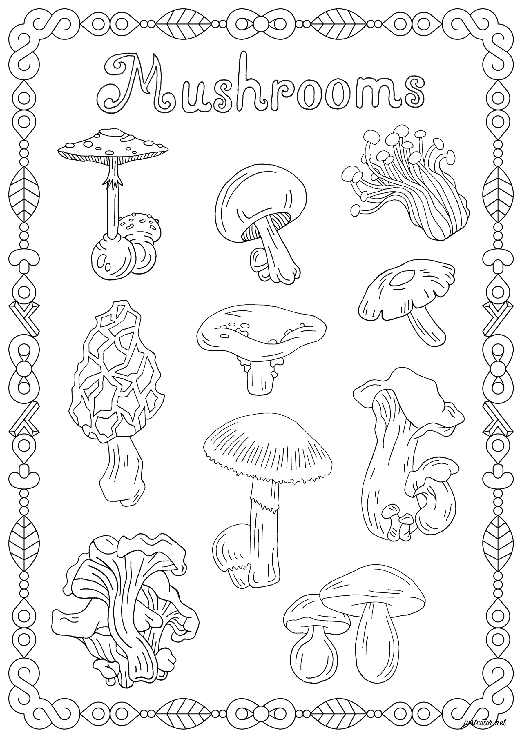 Mushroom Coloring Pages for Adults Printable 98