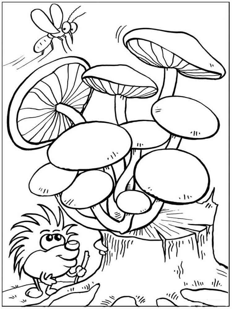 Mushroom Coloring Pages for Adults Printable 99