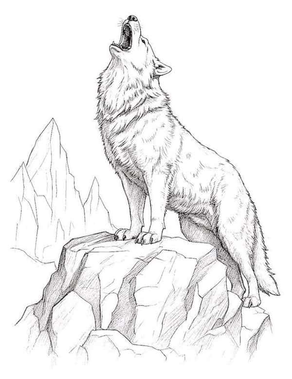 160 Wolf Coloring Pages: Howl with Creativity 100