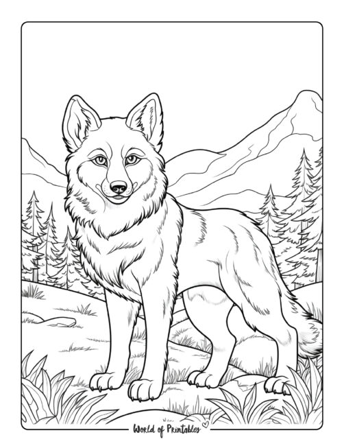 160 Wolf Coloring Pages: Howl with Creativity 114