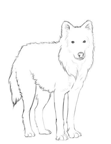 160 Wolf Coloring Pages: Howl with Creativity 137