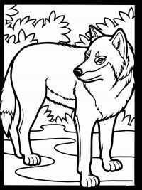 160 Wolf Coloring Pages: Howl with Creativity 164