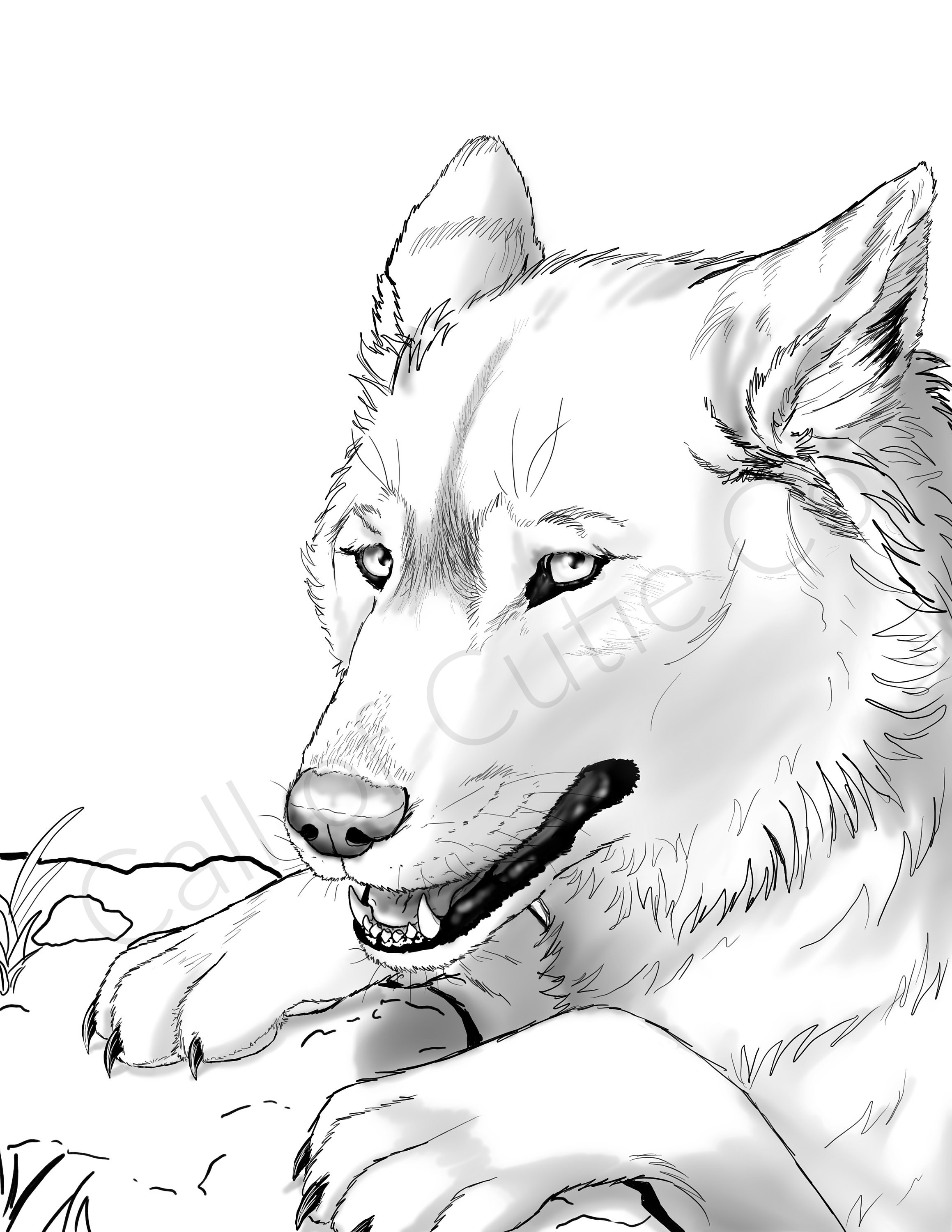 160 Wolf Coloring Pages: Howl with Creativity 5