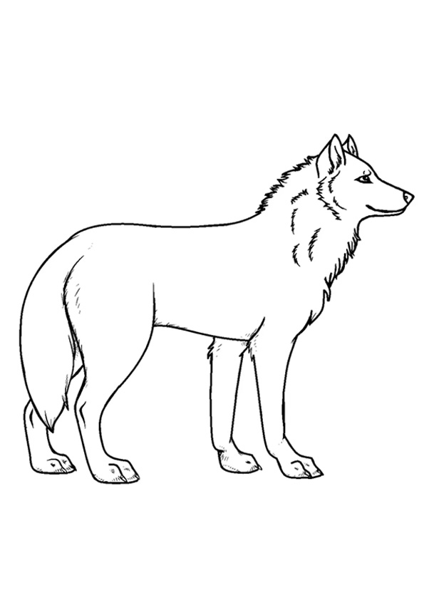 160 Wolf Coloring Pages: Howl with Creativity 89