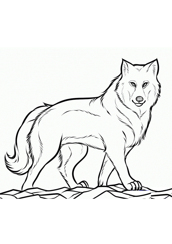 160 Wolf Coloring Pages: Howl with Creativity 90