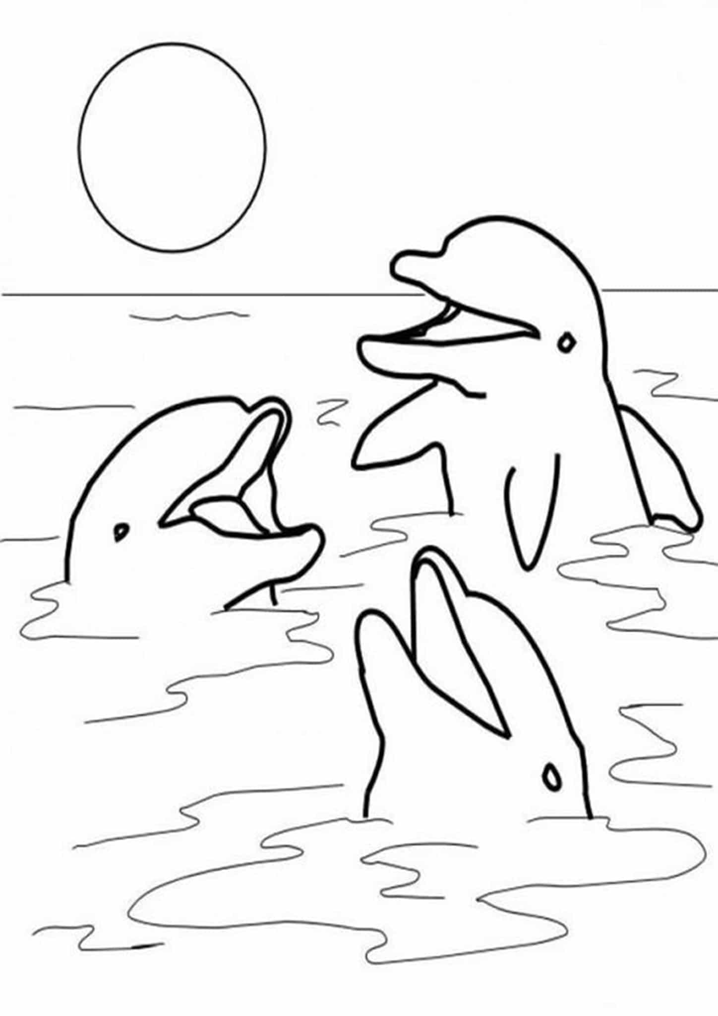 170+ Octonauts Coloring Pages 43