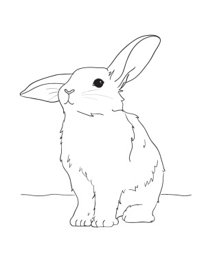 152+ Bunny Ear Coloring Pages Printable 21