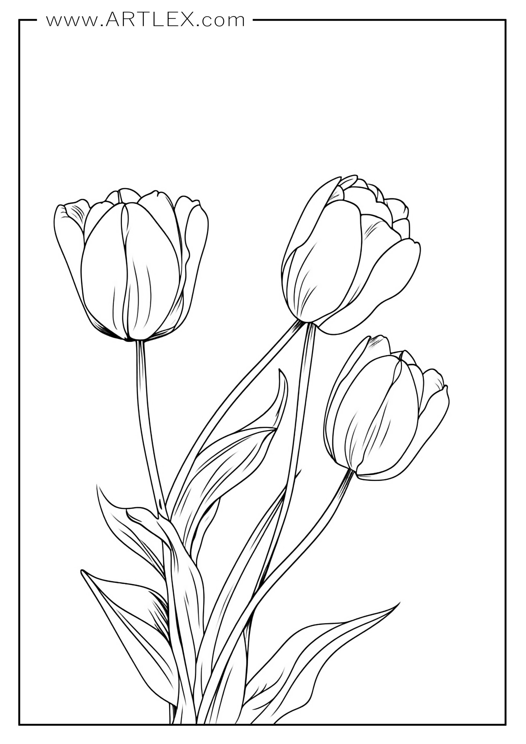 159 Coloring Pages with a Lot of Detail Printable 104