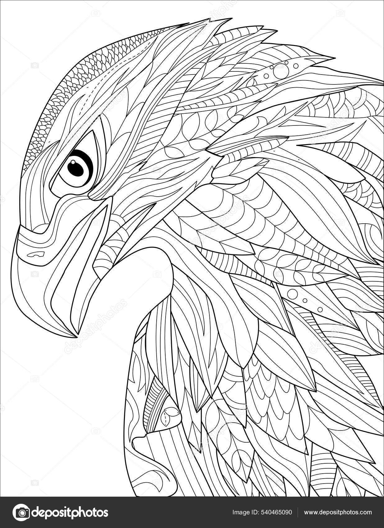 159 Coloring Pages with a Lot of Detail Printable 12